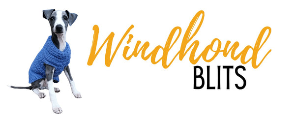 Windhond Blits